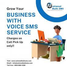 Bulk SMS in Delhi | National Bulk SMS